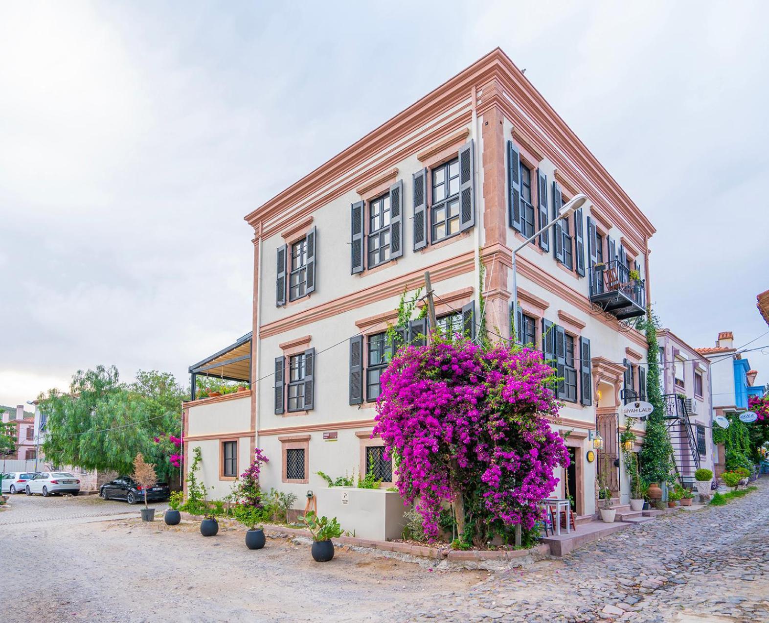 Ayvalı Siyah Lale Cunda 1841 (Adults Only)酒店 外观 照片