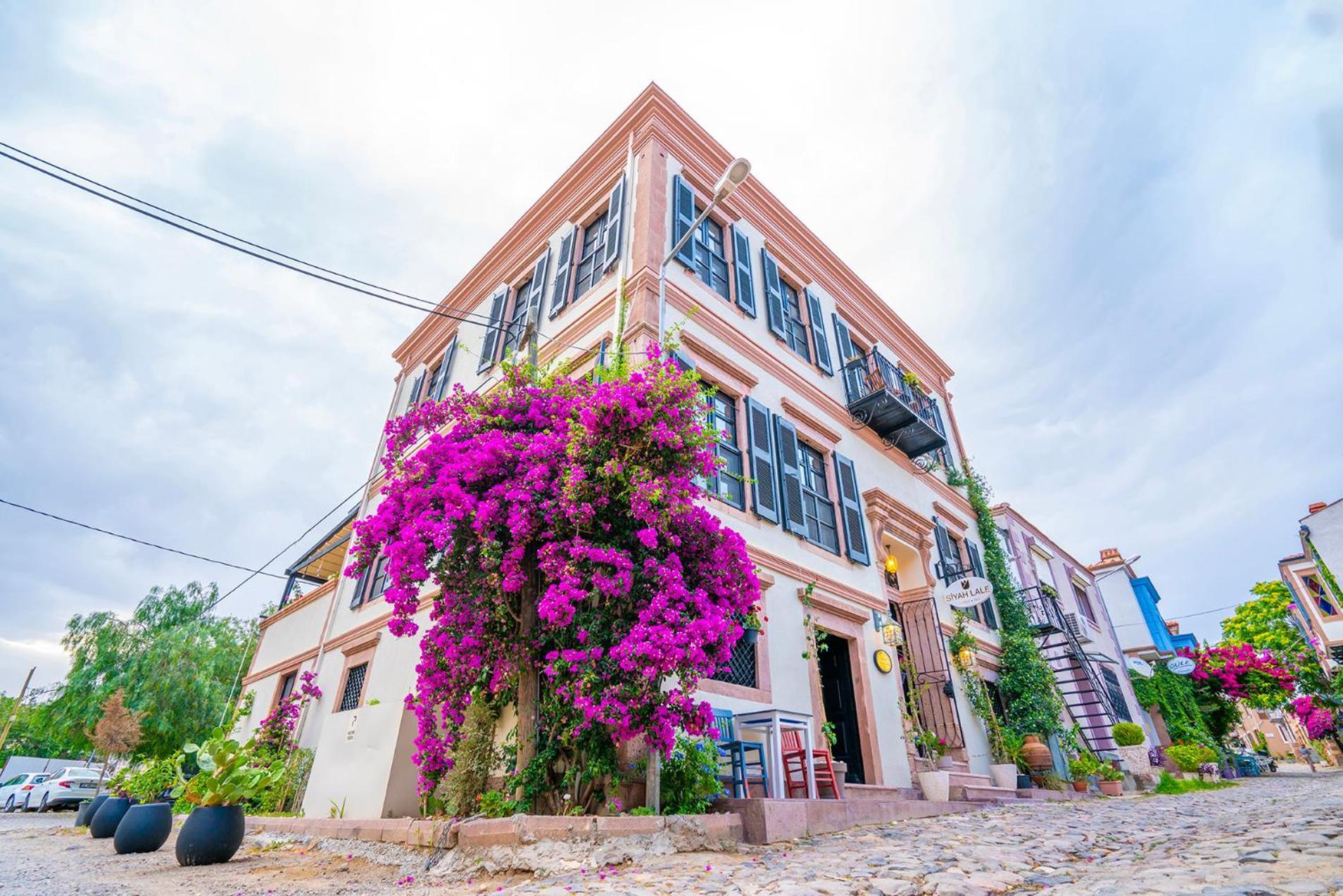 Ayvalı Siyah Lale Cunda 1841 (Adults Only)酒店 外观 照片