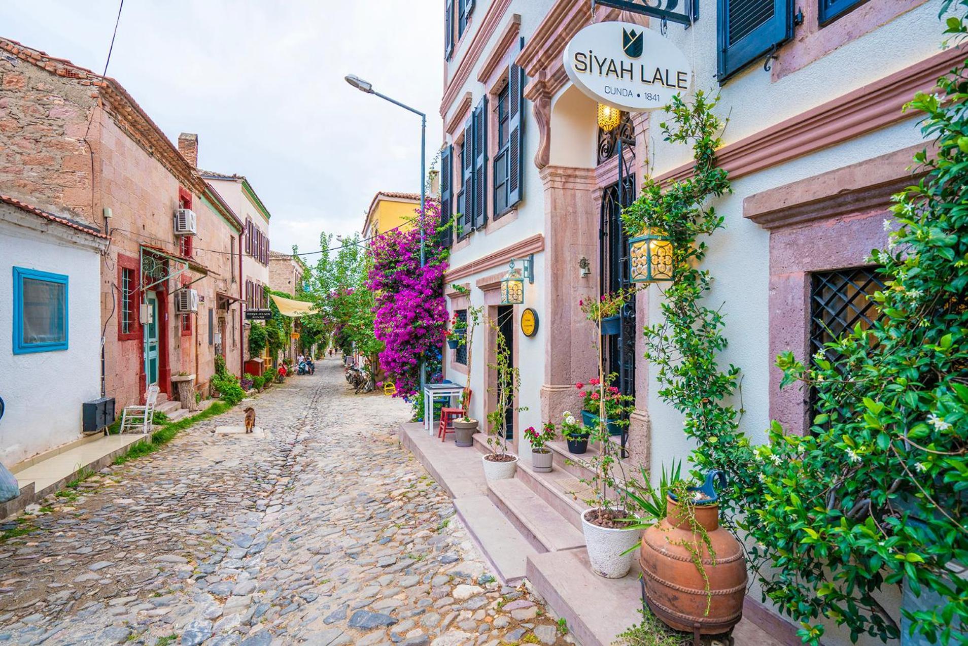 Ayvalı Siyah Lale Cunda 1841 (Adults Only)酒店 外观 照片