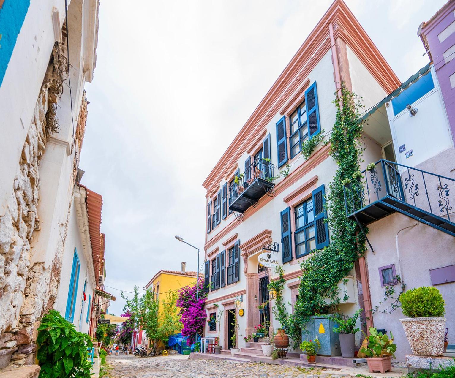 Ayvalı Siyah Lale Cunda 1841 (Adults Only)酒店 外观 照片