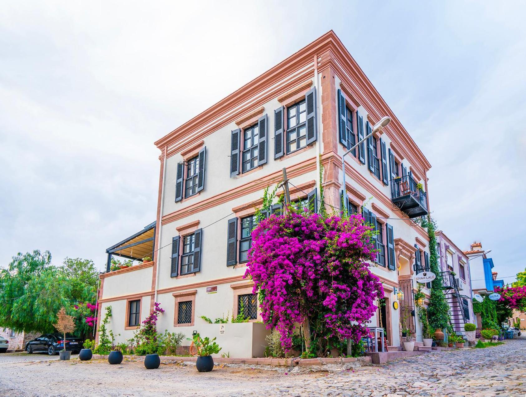 Ayvalı Siyah Lale Cunda 1841 (Adults Only)酒店 外观 照片